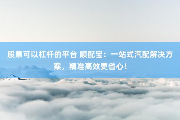 股票可以杠杆的平台 顺配宝：一站式汽配解决方案，精准高效更省心！