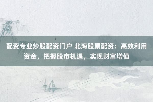 配资专业炒股配资门户 北海股票配资：高效利用资金，把握股市机遇，实现财富增值