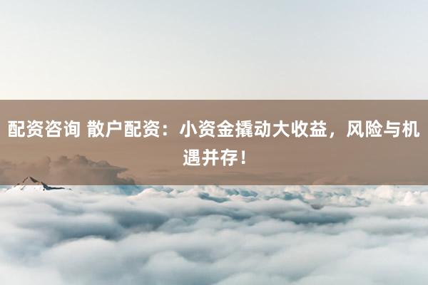 配资咨询 散户配资：小资金撬动大收益，风险与机遇并存！