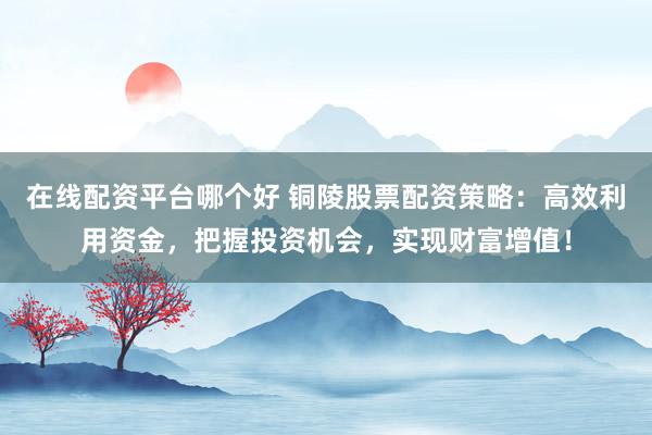 在线配资平台哪个好 铜陵股票配资策略：高效利用资金，把握投资机会，实现财富增值！