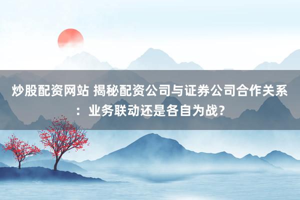 炒股配资网站 揭秘配资公司与证券公司合作关系：业务联动还是各自为战？
