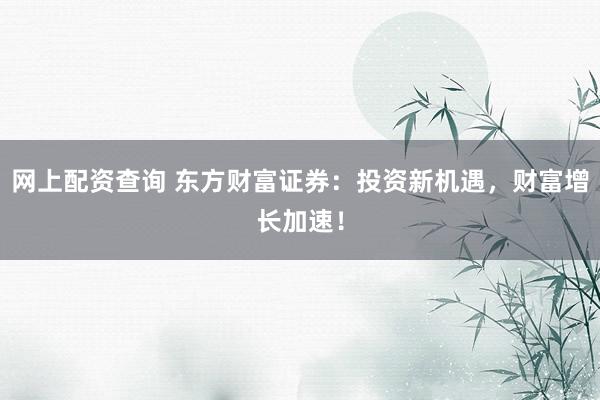 网上配资查询 东方财富证券：投资新机遇，财富增长加速！