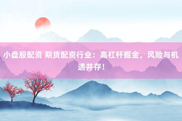 小盘股配资 期货配资行业：高杠杆掘金，风险与机遇并存！