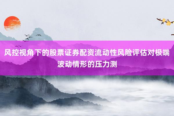 风控视角下的股票证券配资流动性风险评估对极端波动情形的压力测