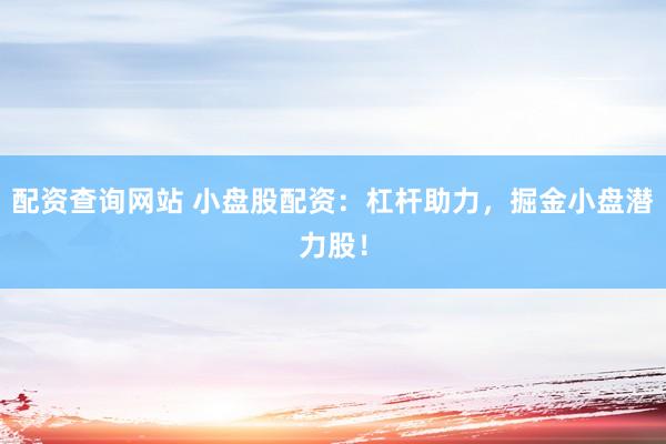 配资查询网站 小盘股配资：杠杆助力，掘金小盘潜力股！