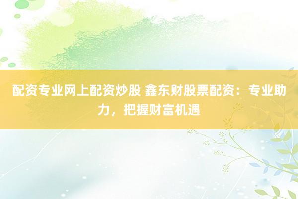 配资专业网上配资炒股 鑫东财股票配资：专业助力，把握财富机遇
