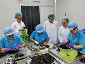 赴威海 菏泽 聊城 潍坊低卡绿色食品市场调研团队