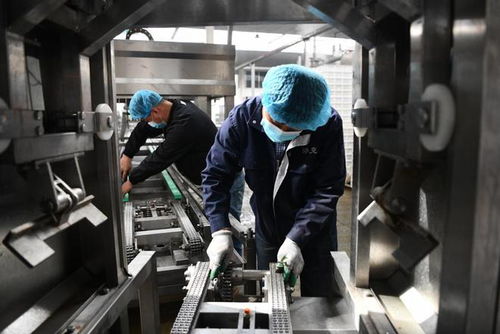 全国第一条全自动化豆制品生产线在宁夏建成